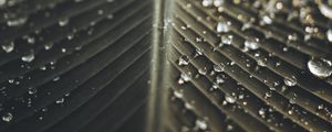 Preview wallpaper leaf, drops, wet, macro