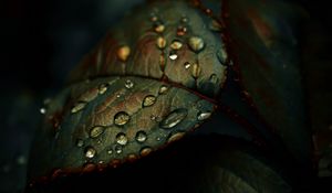 Preview wallpaper leaf, drops, wet, macro, green