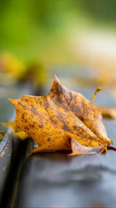 Preview wallpaper leaf, dry, autumn, bench