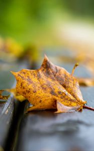 Preview wallpaper leaf, dry, autumn, bench