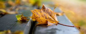 Preview wallpaper leaf, dry, autumn, bench