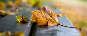 Preview wallpaper leaf, dry, autumn, bench