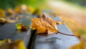 Preview wallpaper leaf, dry, autumn, bench