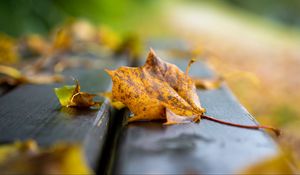 Preview wallpaper leaf, dry, autumn, bench