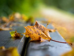 Preview wallpaper leaf, dry, autumn, bench