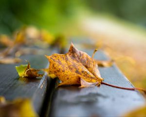 Preview wallpaper leaf, dry, autumn, bench