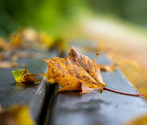 Preview wallpaper leaf, dry, autumn, bench