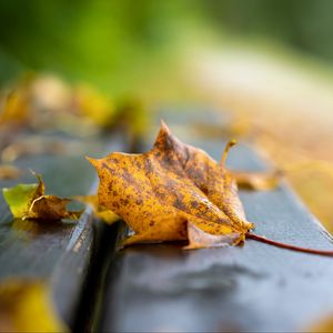 Preview wallpaper leaf, dry, autumn, bench