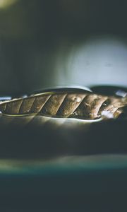 Preview wallpaper leaf, dry, close-up