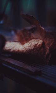 Preview wallpaper leaf, dry, drops, close-up
