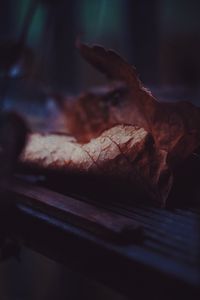 Preview wallpaper leaf, dry, drops, close-up