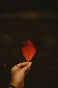 Preview wallpaper leaf, dry, hand, autumn