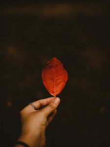 Preview wallpaper leaf, dry, hand, autumn