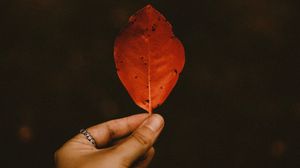 Preview wallpaper leaf, dry, hand, autumn