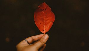 Preview wallpaper leaf, dry, hand, autumn