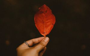 Preview wallpaper leaf, dry, hand, autumn