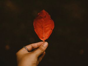 Preview wallpaper leaf, dry, hand, autumn