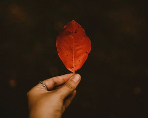 Preview wallpaper leaf, dry, hand, autumn