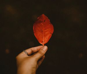 Preview wallpaper leaf, dry, hand, autumn