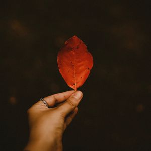 Preview wallpaper leaf, dry, hand, autumn