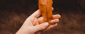 Preview wallpaper leaf, dry, hand, autumn