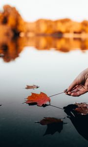 Preview wallpaper leaf, dry, hand, water, autumn