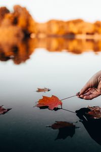 Preview wallpaper leaf, dry, hand, water, autumn