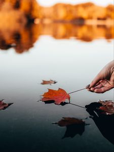 Preview wallpaper leaf, dry, hand, water, autumn