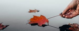 Preview wallpaper leaf, dry, hand, water, autumn