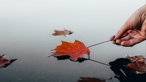 Preview wallpaper leaf, dry, hand, water, autumn