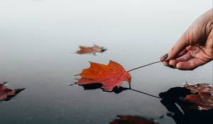 Preview wallpaper leaf, dry, hand, water, autumn