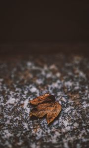 Preview wallpaper leaf, dry, stone, brown, autumn