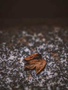 Preview wallpaper leaf, dry, stone, brown, autumn