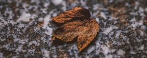 Preview wallpaper leaf, dry, stone, brown, autumn