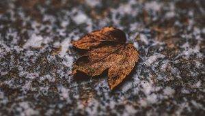 Preview wallpaper leaf, dry, stone, brown, autumn