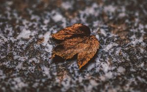 Preview wallpaper leaf, dry, stone, brown, autumn