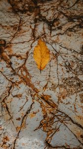 Preview wallpaper leaf, dry, yellow, autumn, stone