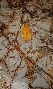 Preview wallpaper leaf, dry, yellow, autumn, stone