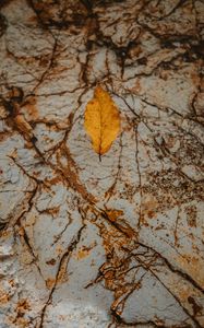 Preview wallpaper leaf, dry, yellow, autumn, stone