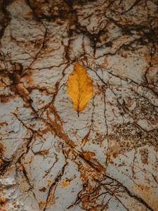 Preview wallpaper leaf, dry, yellow, autumn, stone