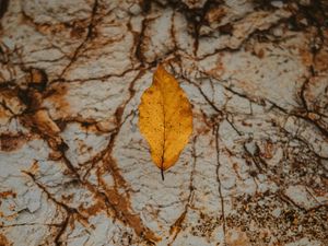 Preview wallpaper leaf, dry, yellow, autumn, stone