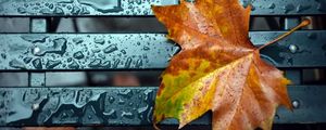 Preview wallpaper leaf, fall, drop