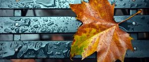 Preview wallpaper leaf, fall, drop