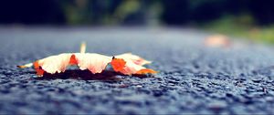 Preview wallpaper leaf, fall, fallen, surface, road