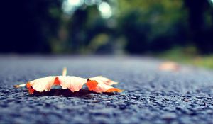 Preview wallpaper leaf, fall, fallen, surface, road