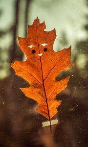 Preview wallpaper leaf, funny, autumn, smile