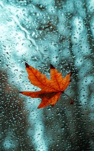 Preview wallpaper leaf, glass, drops, wet, macro