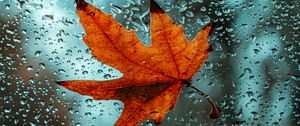 Preview wallpaper leaf, glass, drops, wet, macro