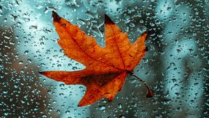 Preview wallpaper leaf, glass, drops, wet, macro