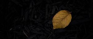 Preview wallpaper leaf, grass, yellow, dark